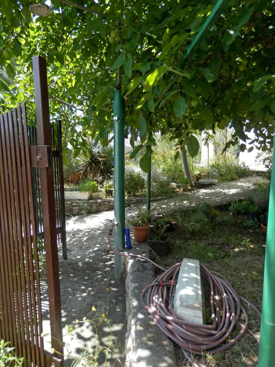Apartments Zivana Rogoznica  Bagian luar foto